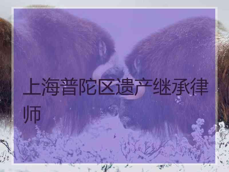 上海普陀区遗产继承律师