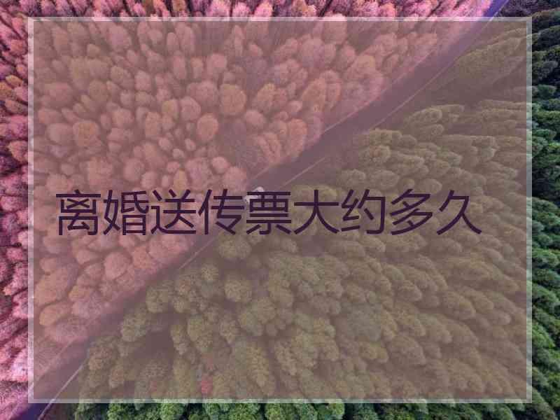 离婚送传票大约多久