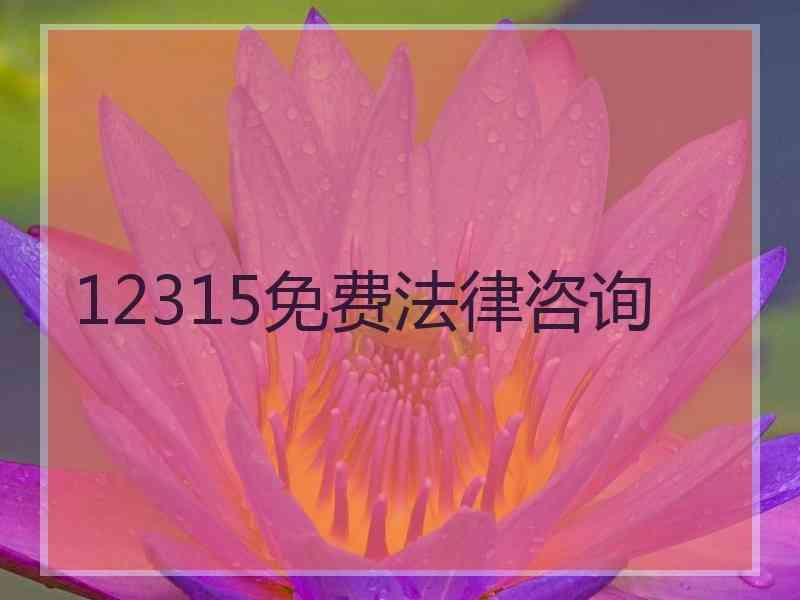 12315免费法律咨询