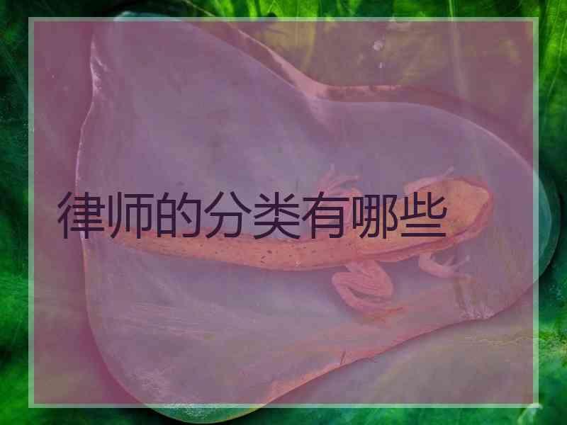 律师的分类有哪些