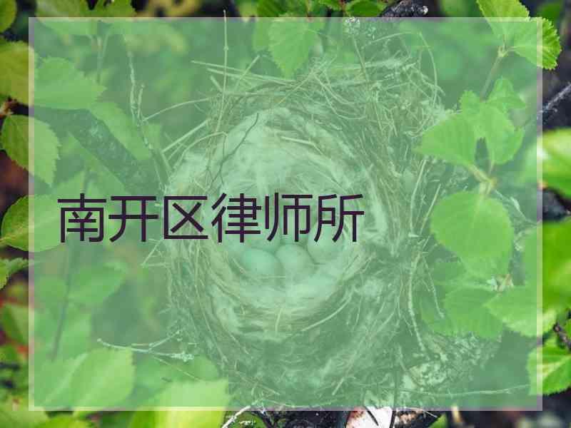 南开区律师所