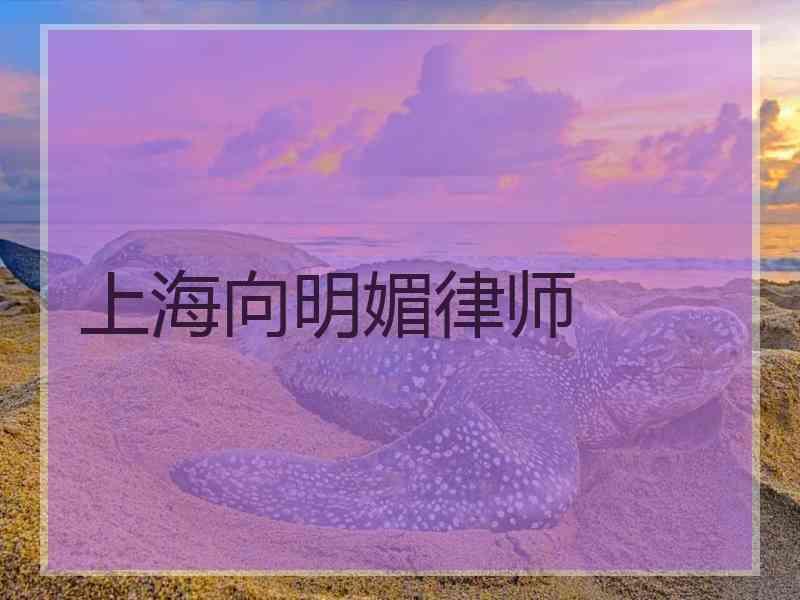 上海向明媚律师