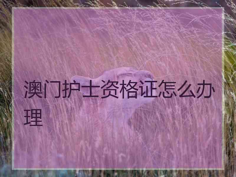 澳门护士资格证怎么办理