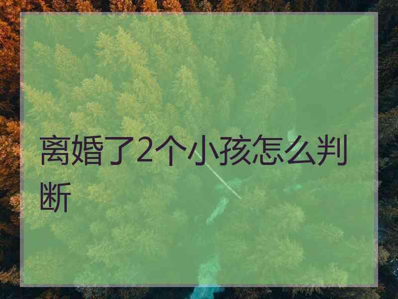 离婚了2个小孩怎么判断