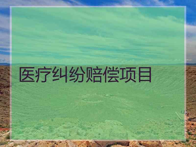 医疗纠纷赔偿项目
