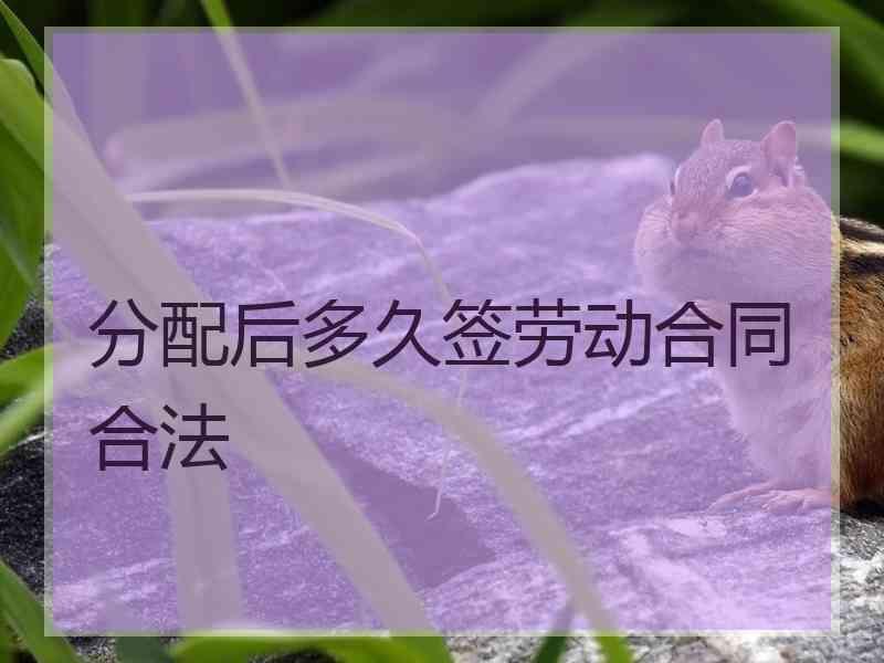 分配后多久签劳动合同合法