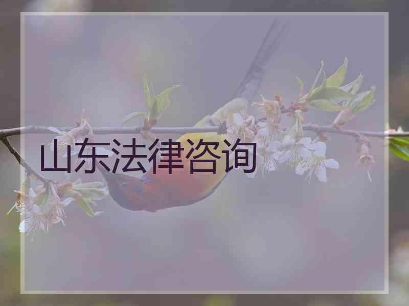 山东法律咨询