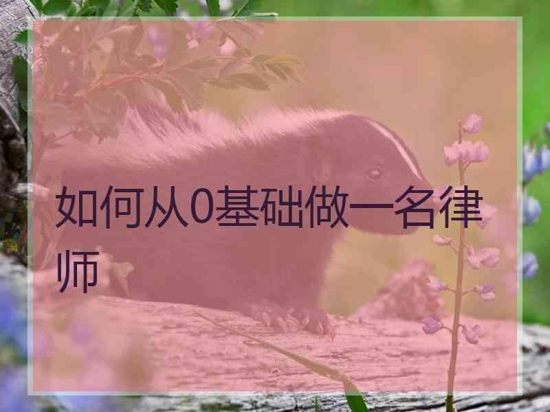 如何从0基础做一名律师