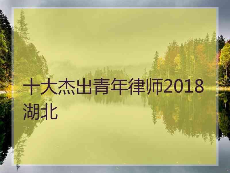 十大杰出青年律师2018湖北