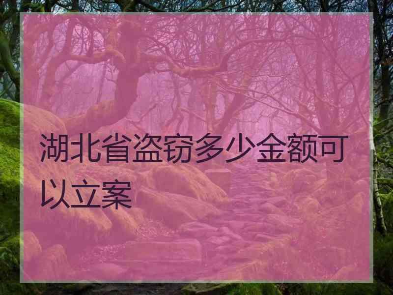 湖北省盗窃多少金额可以立案