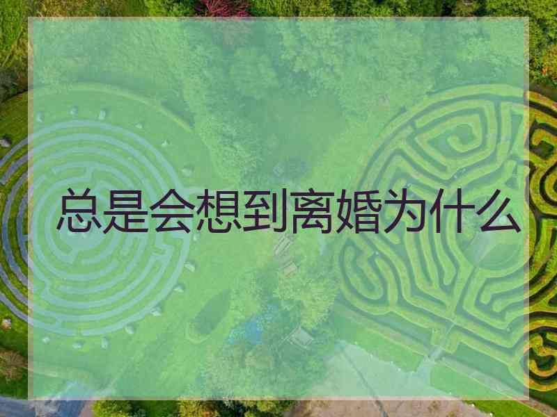 总是会想到离婚为什么