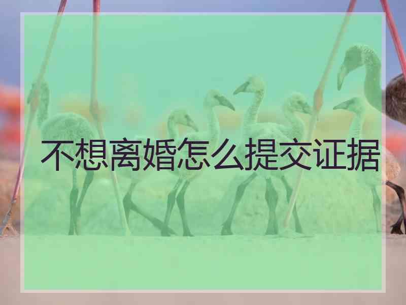 不想离婚怎么提交证据