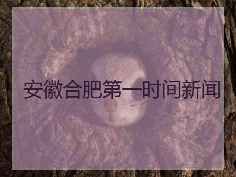 安徽合肥第一时间新闻