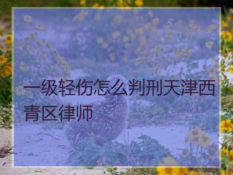 一级轻伤怎么判刑天津西青区律师