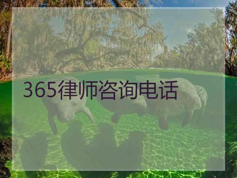 365律师咨询电话