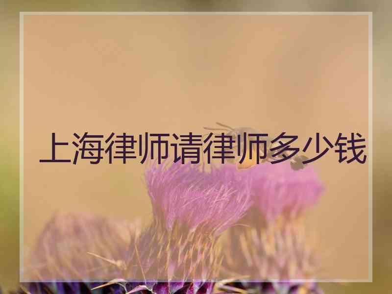 上海律师请律师多少钱