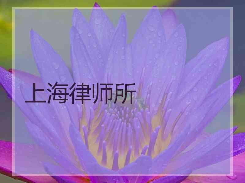 上海律师所