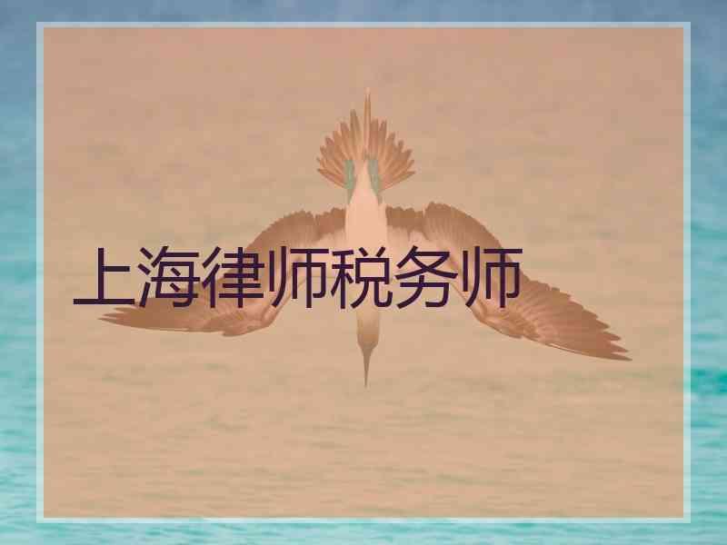 上海律师税务师