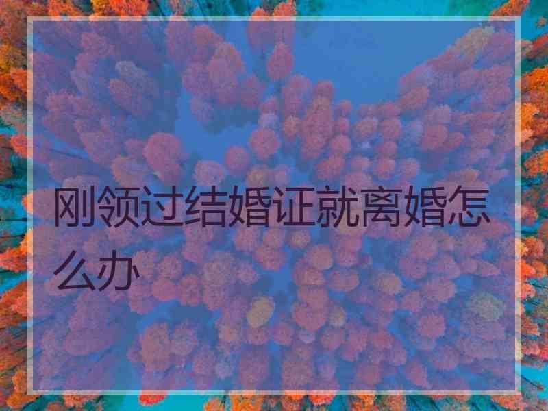 刚领过结婚证就离婚怎么办