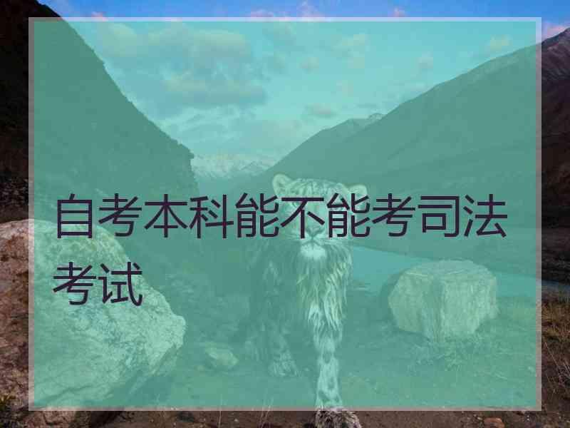 自考本科能不能考考试
