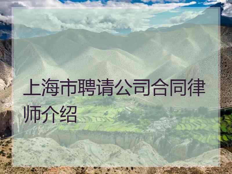 上海市聘请公司合同律师介绍