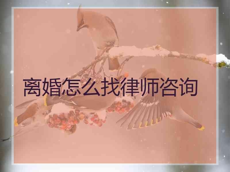 离婚怎么找律师咨询