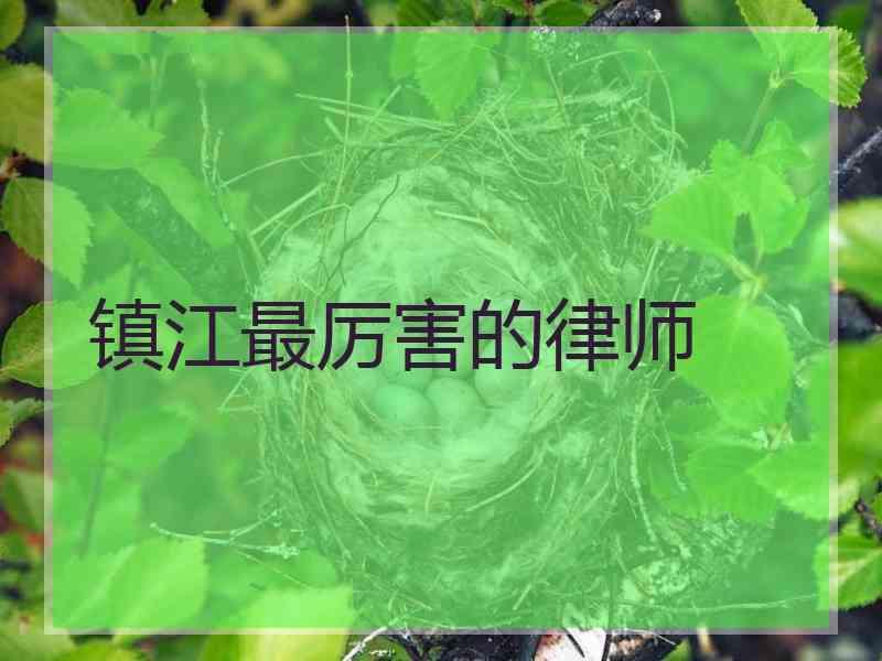 镇江最厉害的律师