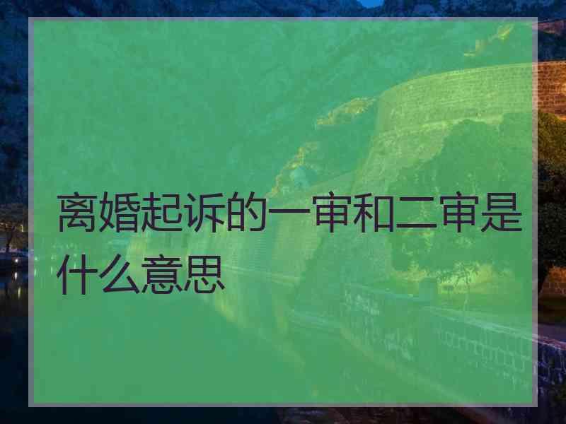 离婚起诉的一审和二审是什么意思