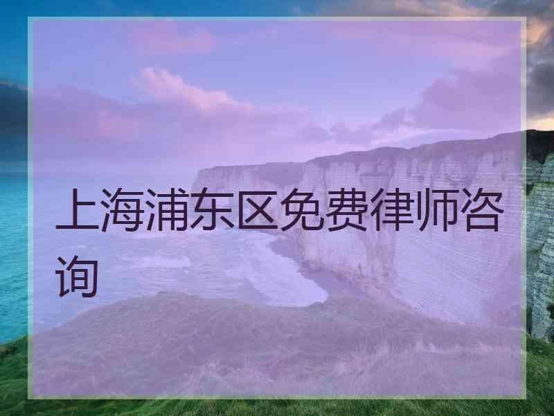 上海浦东区免费律师咨询