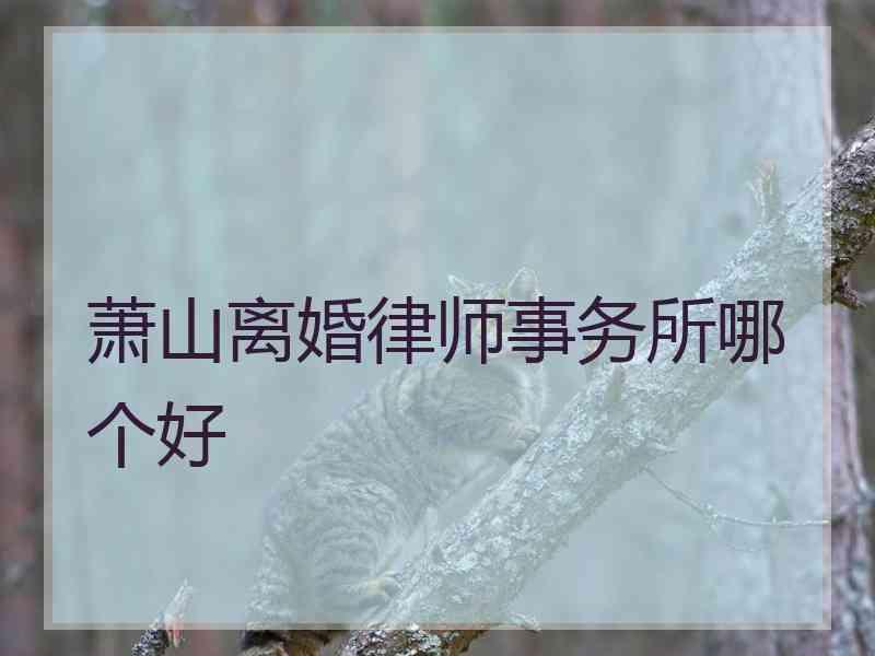 萧山离婚律师事务所哪个好