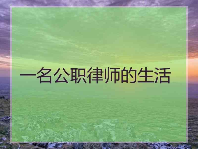 一名公职律师的生活