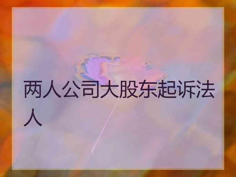 两人公司大股东起诉法人