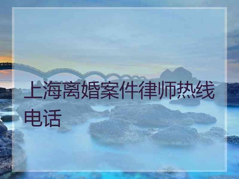 上海离婚案件律师热线电话