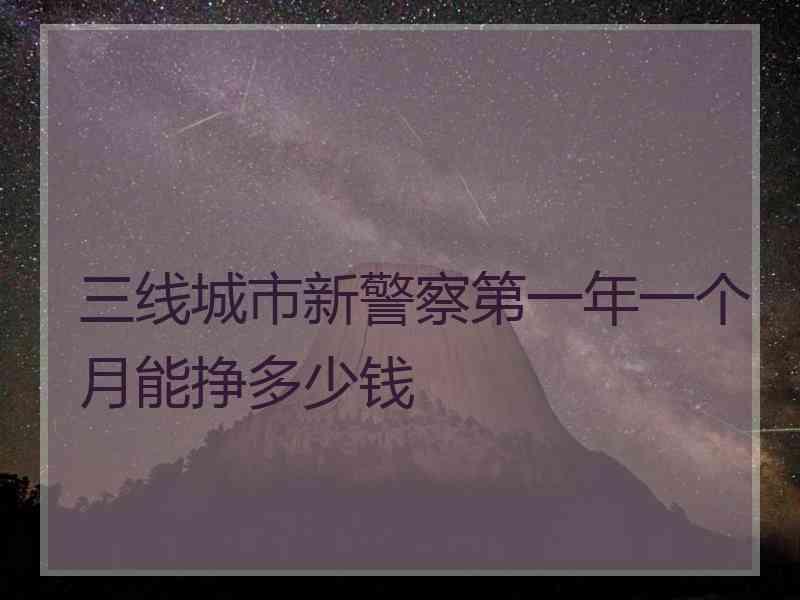 三线城市新警察第一年一个月能挣多少钱