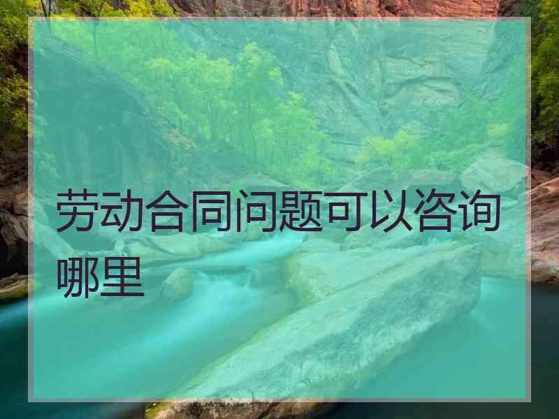 劳动合同问题可以咨询哪里