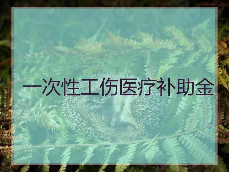 一次性工伤医疗补助金