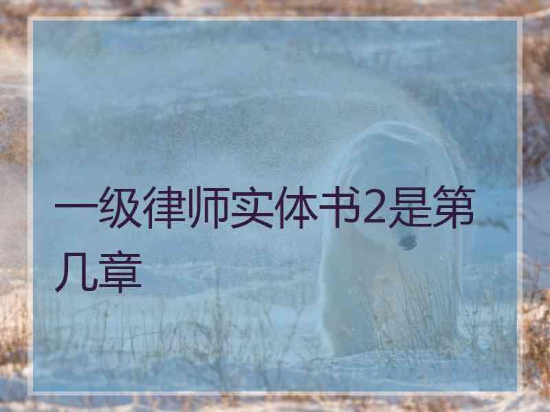 一级律师实体书2是第几章