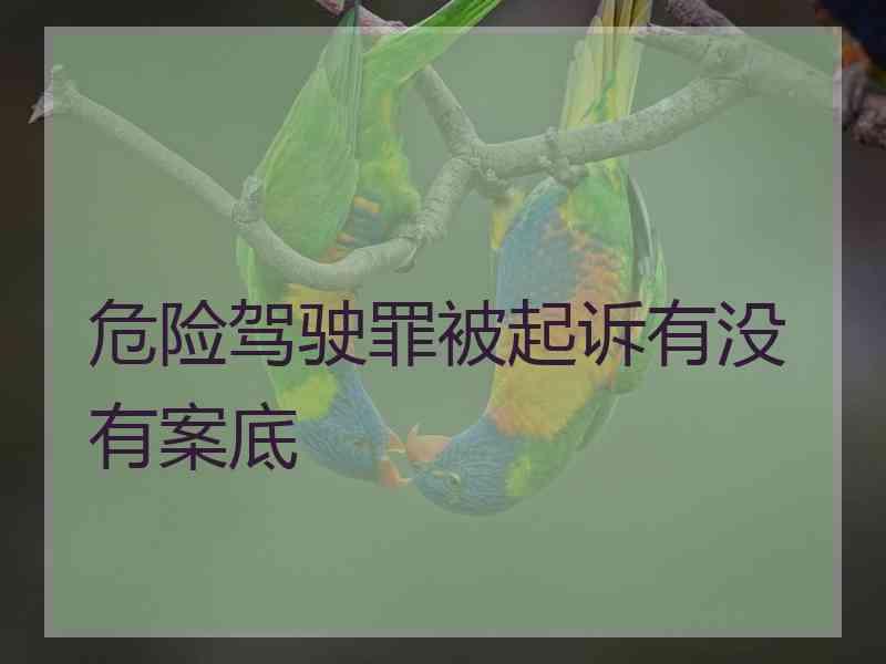 危险驾驶罪被起诉有没有案底