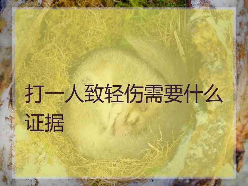 打一人致轻伤需要什么证据