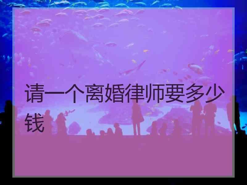 请一个离婚律师要多少钱