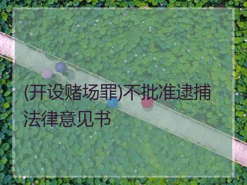 (开设赌场罪)不批准逮捕法律意见书