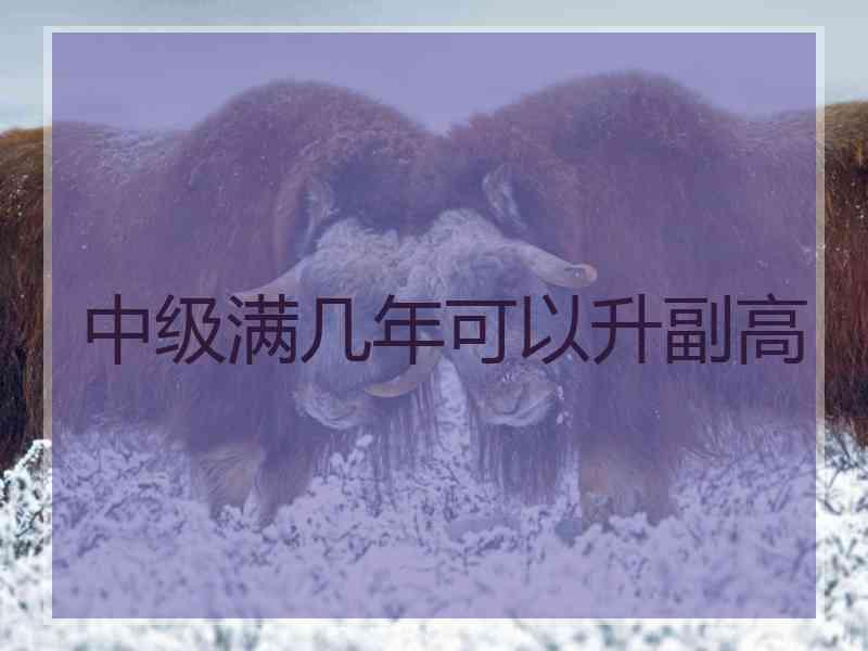 中级满几年可以升副高