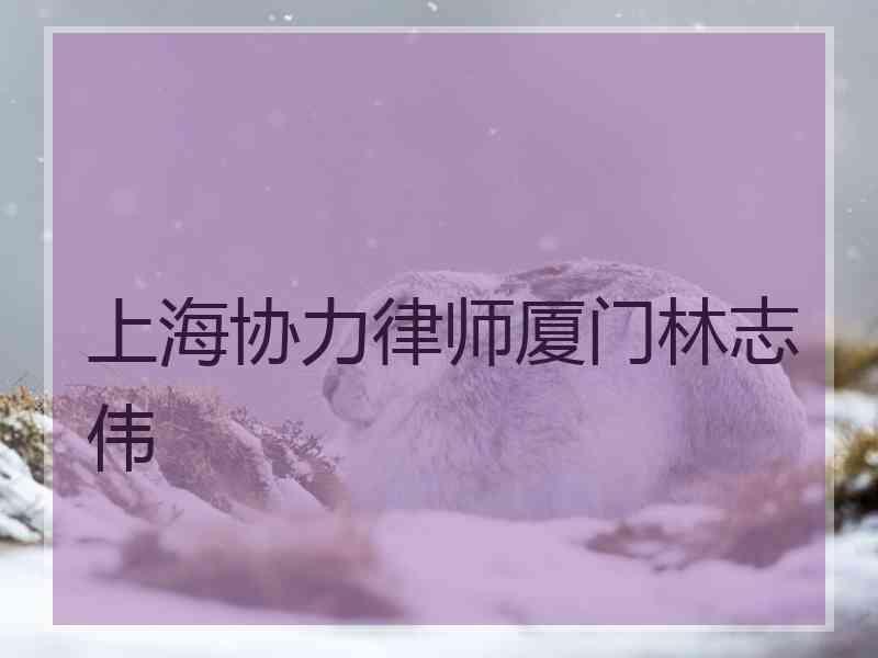 上海协力律师厦门林志伟