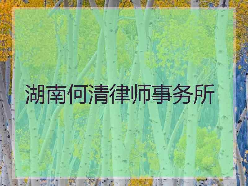 湖南何清律师事务所