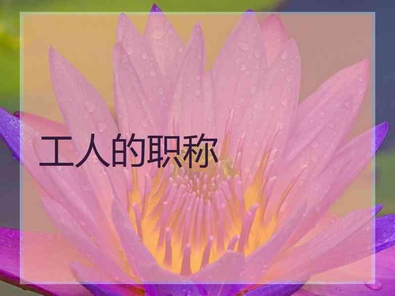 工人的职称