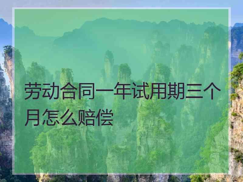 劳动合同一年试用期三个月怎么赔偿