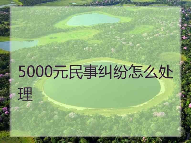 5000元民事纠纷怎么处理