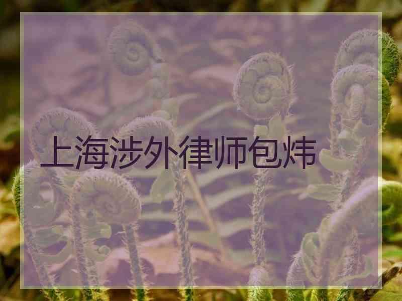 上海涉外律师包炜