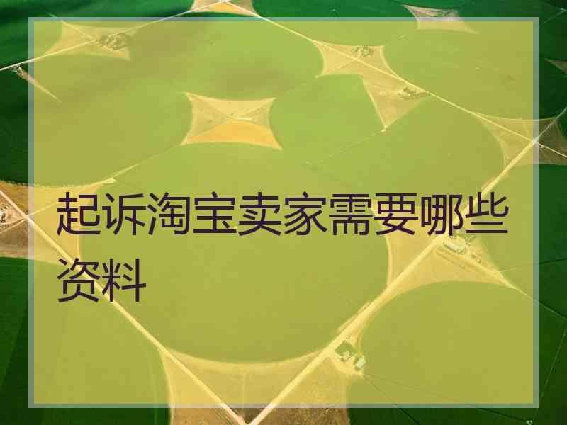 起诉淘宝卖家需要哪些资料