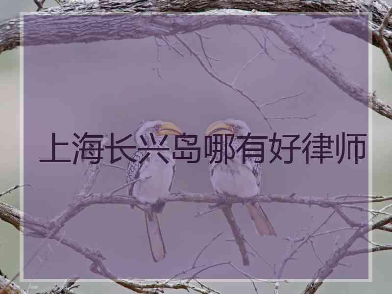 上海长兴岛哪有好律师